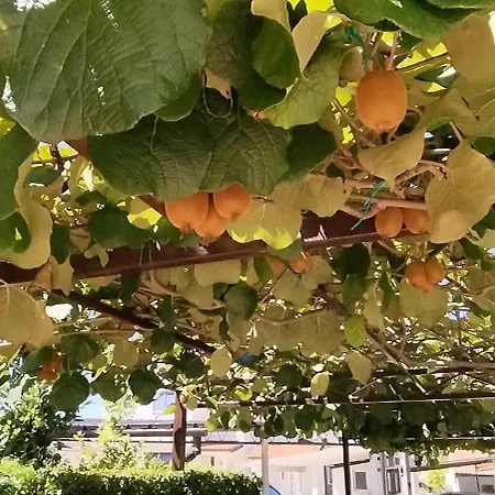 Marijana Apartman Poreč